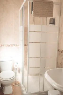 a bathroom with a toilet and a shower at Apartamento Doña Lola in Jerez de la Frontera