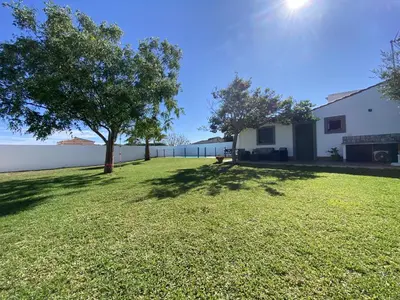 a green yard with a tree and a building at SUMATRA in Chiclana de la Frontera