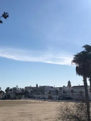 a view of a beach with a palm tree and buildings at Casa en primera línea de playa in Rota