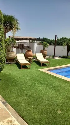 a yard with lounge chairs and a swimming pool at Alojamiento El Drago - Sólo Familias y Parejas in Conil de la Frontera