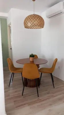 a dining room table with chairs and a potted plant on it at Alojamiento El Drago - Sólo Familias y Parejas in Conil de la Frontera
