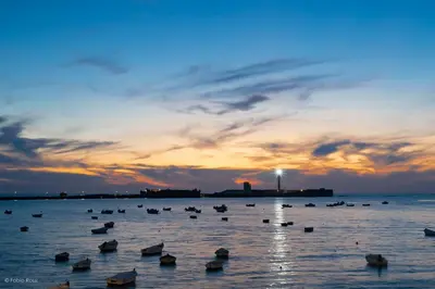 a group of ducks in the water at sunset at Estudio Las Navas in Cádiz