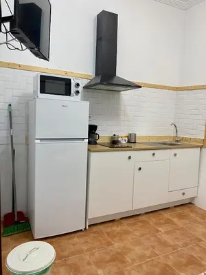 a kitchen with a white refrigerator and a microwave at El Jardín de Lucas in Arcos de la Frontera
