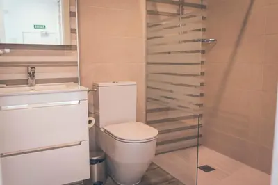 a bathroom with a toilet and a sink and a shower at Apartamentos Puerta Sevilla in Jerez de la Frontera