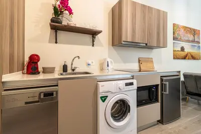 a kitchen with a washing machine and a sink at Casa Palacio Rufina & Jardines in Jerez de la Frontera