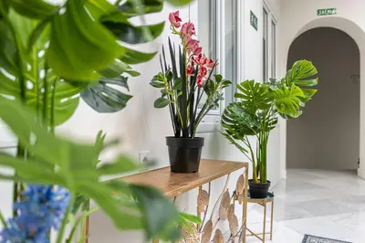 a group of plants sitting on a table in a room at Casa Palacio Rufina & Jardines in Jerez de la Frontera