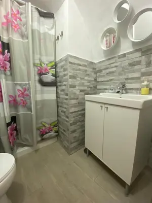a bathroom with a toilet and a sink and a shower at Apartamento La Flamencura in Jerez de la Frontera
