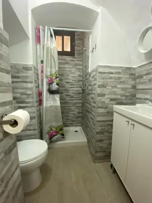 a bathroom with a shower and a toilet and a sink at Apartamento La Flamencura in Jerez de la Frontera