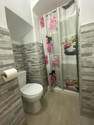 a bathroom with a toilet and a shower curtain at Apartamento La Flamencura in Jerez de la Frontera