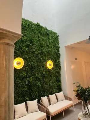 a green wall with two yellow frisbees on it at Soho Boutique Columela in Cádiz