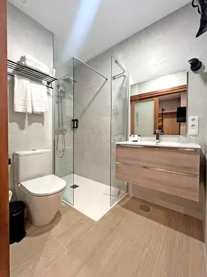 a bathroom with a shower and a toilet and a sink at Soho Boutique Columela in Cádiz