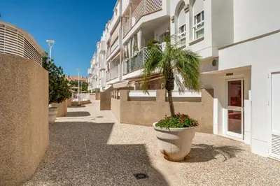 a palm tree in a pot next to a building at BRISAMAR Rota ATLÁNTICO apartment in Rota