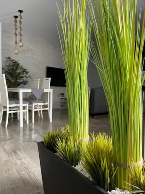 a living room with a table and chairs and plants at apartamentos Bandera in Jerez de la Frontera