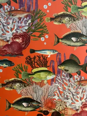 a collage of fish on an orange background at Casa Palacio Ánima in Jerez de la Frontera
