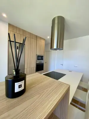 a kitchen with a counter with a potted plant on it at VISTA LAGO VILLE in Chiclana de la Frontera