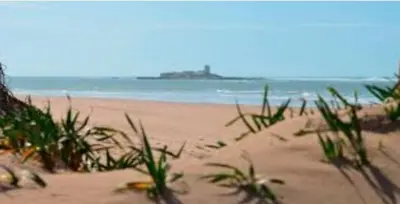 a beach with some grass on the sand and the ocean at La casa de la luz in San Fernando