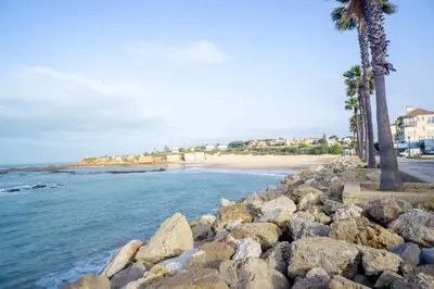 a rocky shore with palm trees and a beach at Atico BLUE Beach in El Puerto de Santa María
