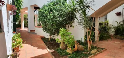 a house with a garden with plants in the yard at Apartamento a pie de playa La Barrosa in Chiclana de la Frontera