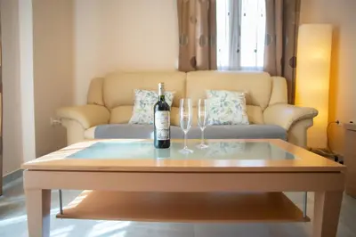 a bottle of wine on a table with a couch at Brasil Playa Ha Apartment in Cádiz