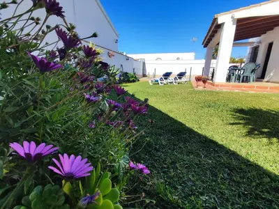 a yard with purple flowers and a house at El Cortijo de Pepa in Conil de la Frontera
