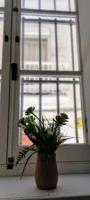 a potted plant sitting in front of a window at el 2 de Flamenco BajoB in Cádiz