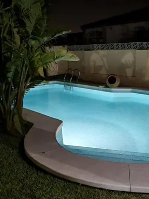 a large blue swimming pool with a palm tree next to it at El Vaivén in El Puerto de Santa María