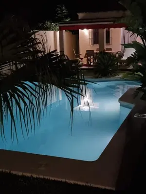 a swimming pool lit up at night with a palm tree at El Vaivén in El Puerto de Santa María