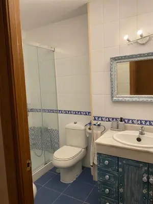 a bathroom with a toilet and a shower and a sink at Apartamento Tía Maria in Cádiz