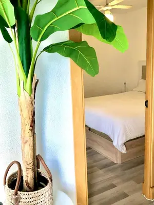 a plant in a pot on a table next to a mirror at Valdelagrana vistas al mar, piscinas primera linea cadiz in El Puerto de Santa María