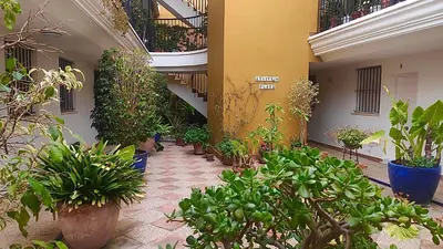 a courtyard with potted plants and stairs in a building at Apartamento Montefillo in Sanlúcar de Barrameda