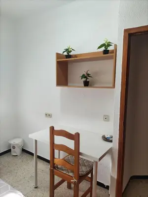 a desk with a chair and two plants on a wall at Comparte Espacio en Chiclana in Chiclana de la Frontera