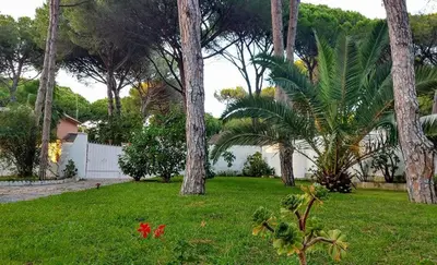 a yard with palm trees and red flowers in the grass at Chalet El Girasol in Chiclana de la Frontera