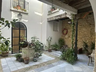 a courtyard with potted plants in a building at HABITACION POLEO in Sanlúcar de Barrameda