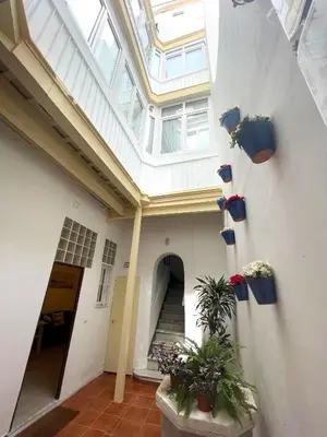 arium of a building with potted plants on the wall at El Patio de Santa María in Cádiz