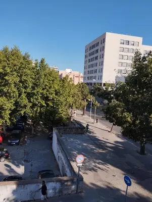 a view of a street with trees and a building at Cadiz Rented in Cádiz