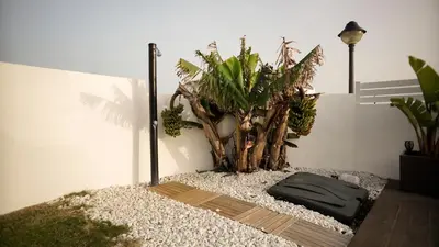 a room with a potted plant next to a wall at VILLA ANYWAY CONIL Un lujo frente al mar in Conil de la Frontera