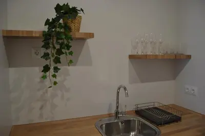 a kitchen counter with a sink and a plant at APARTAMENTO LUPA in Cádiz