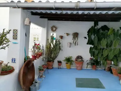a room filled with lots of potted plants at Barroso 4 by 7Escalones in Rota