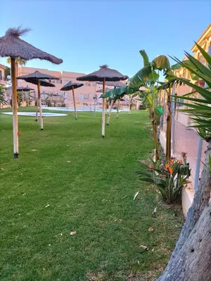 a row of umbrellas on a field with grass at APARTAMENTO EN URBANIZACIÓN AL-ÁNDALUs CERCA DE LA PLAYA DE LA BARROSA in Chiclana de la Frontera