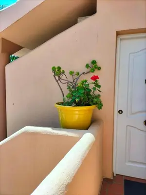 a yellow pot with a red flower on a wall at APARTAMENTO EN URBANIZACIÓN AL-ÁNDALUs CERCA DE LA PLAYA DE LA BARROSA in Chiclana de la Frontera