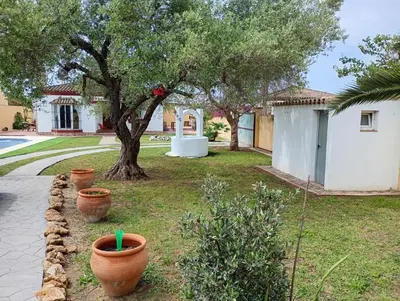 a yard with a tree and some plants and a house at Chalet Pura Vida in Chiclana de la Frontera