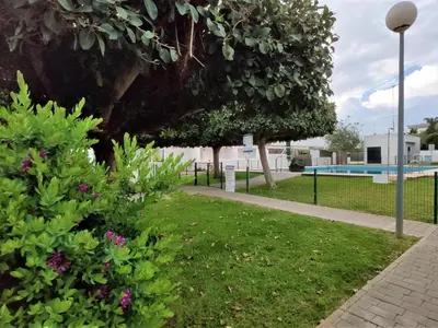 a park with a tree and a swimming pool at Villa Libertad in Conil de la Frontera