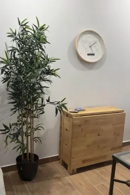 a clock on a wall next to a potted plant at Terra Centro Cádiz in Cádiz