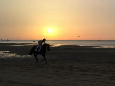 a person riding a horse on the beach at sunset at Apartamento turístico la jara in Sanlúcar de Barrameda