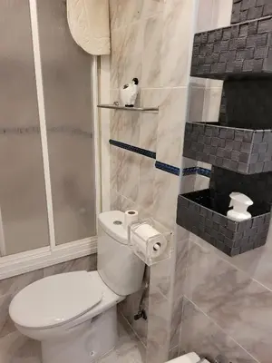 a bathroom with a white toilet and a shower at La Costilla centro y playa in Rota
