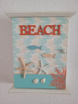 a picture of a shelf with shells and a beach at La Costilla centro y playa in Rota