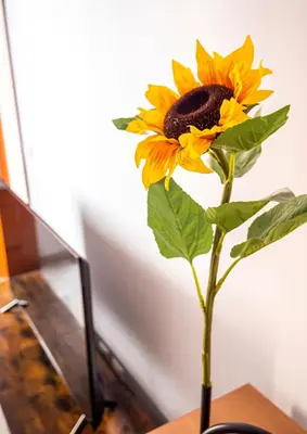 a yellow sunflower in a vase on a table at Apartamento AGUAMAR in Sanlúcar de Barrameda