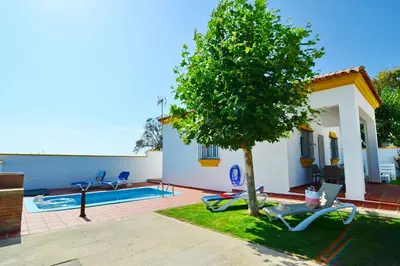 a house with a tree and a swimming pool at Chalet Chaparrillo Conil Rentals in Cádiz