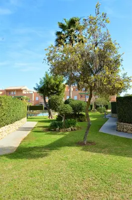 a tree in a park next to a sidewalk at Bonito apartamento con jardín privado en Novo in Novo Sancti Petri