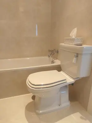 a bathroom with a white toilet and a bath tub at Mirador Bajo de Guía in Sanlúcar de Barrameda